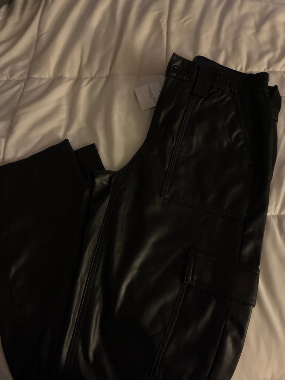 American Eagle Stretch Leather style pants